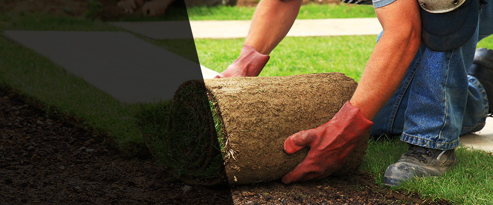 Lake George Landscapers